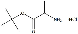 Tert-Butyl L-Alaninate Hydrochloride CAS. 13404-22-3 白色から薄白色粉末 98% 純度 溶融点 168-175 °C