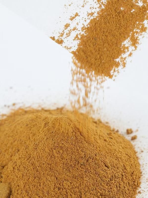 ポリダイヒドロキシンドール メラミン